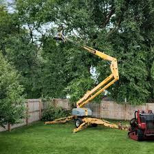 Best Lawn Pest Prevention  in County Center, VA