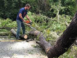 Best Emergency Tree Removal  in County Center, VA