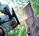 Best Leaf Removal  in County Center, VA