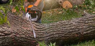 Best Artificial Turf Installation  in County Center, VA