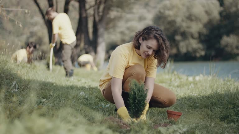 Best Tree and Shrub Care  in County Center, VA