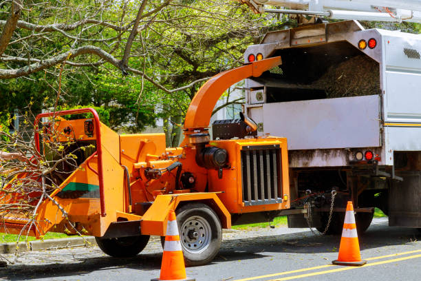Best Tree Risk Assessment  in County Center, VA