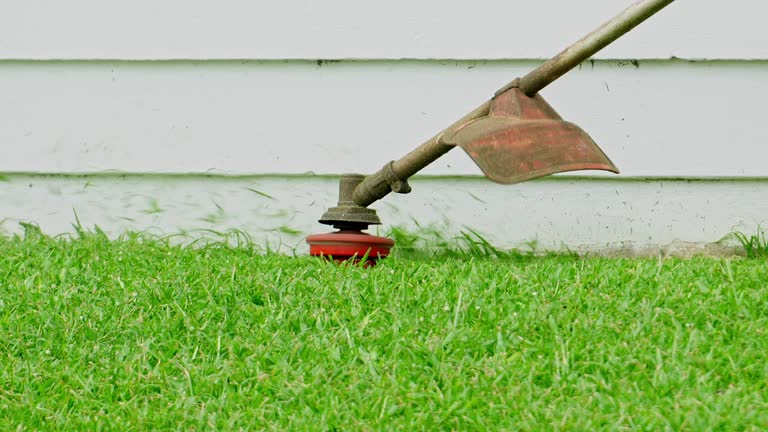 Leaf Removal in County Center, VA